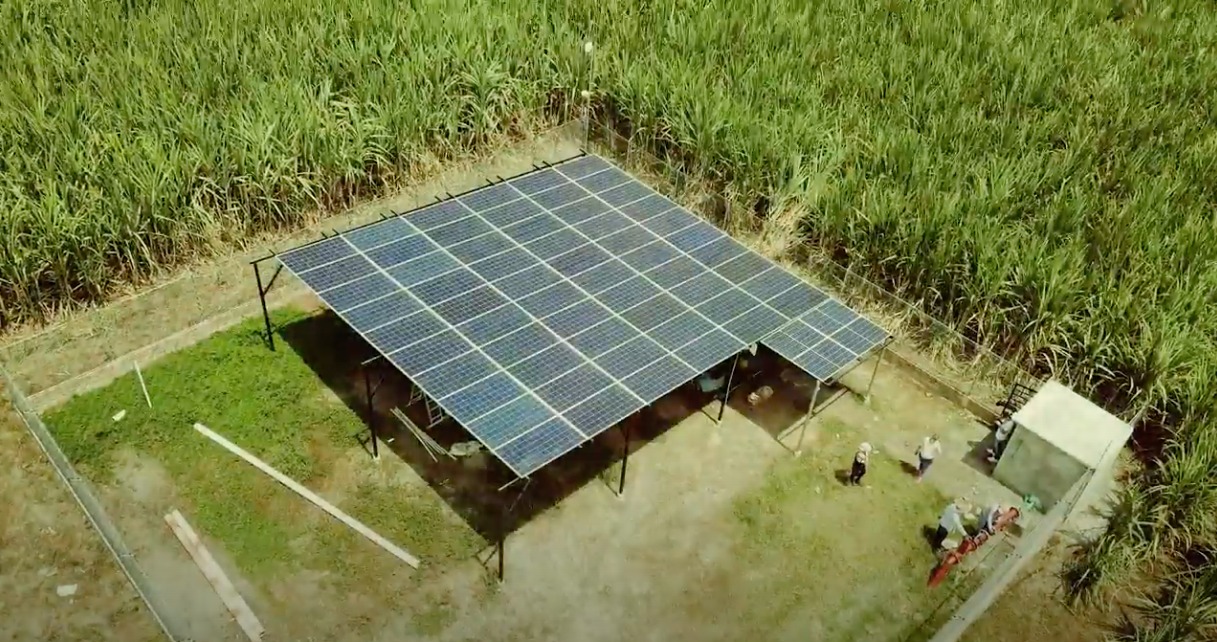 Vista aérea de paneles solares instalados entre cultivos de caña en el Valle del Cauca